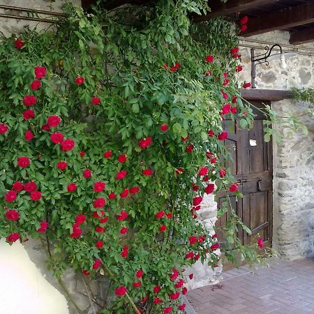 Residenza Antica Corte Villa Picta Buglio in Monte Ngoại thất bức ảnh